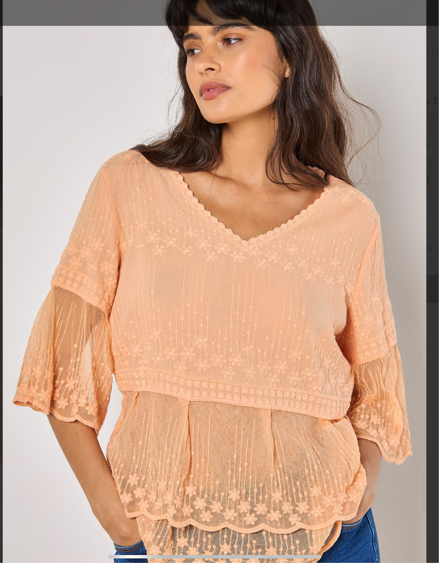 Apricot Embroidered Mesh Top