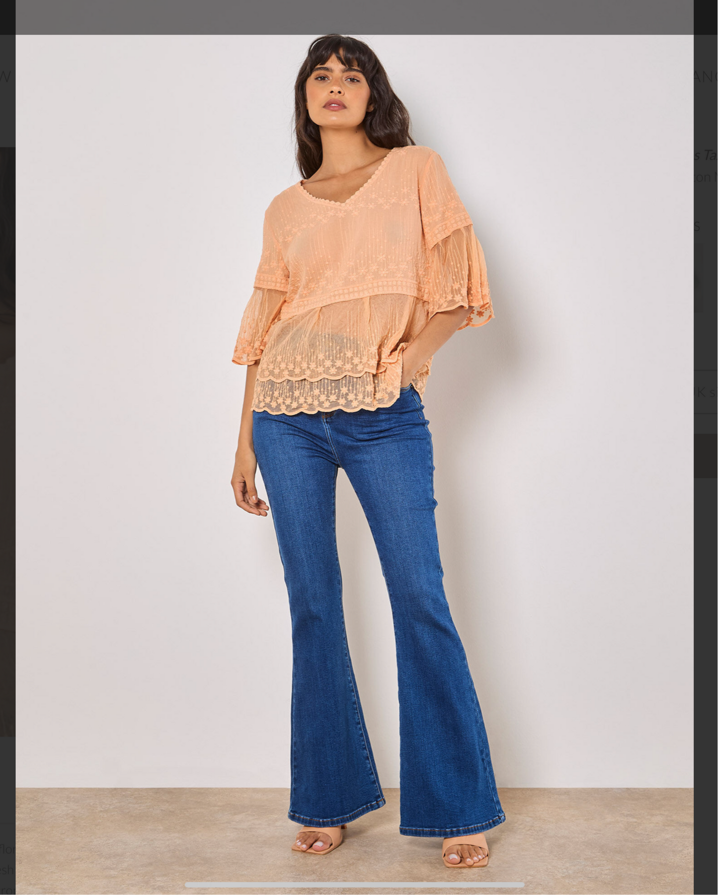 Apricot Embroidered Mesh Top