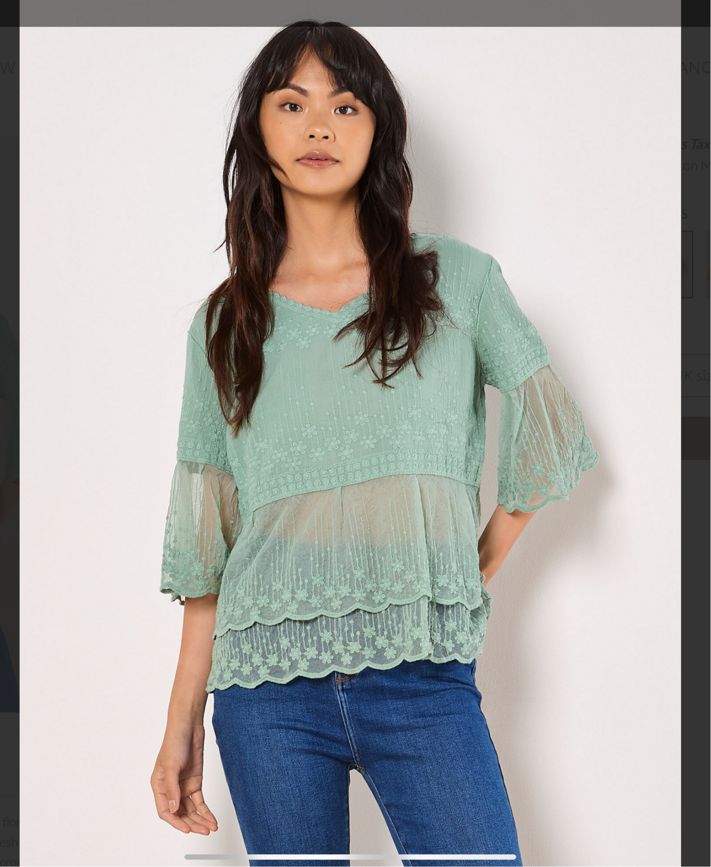 Apricot Embroidered Mesh Top