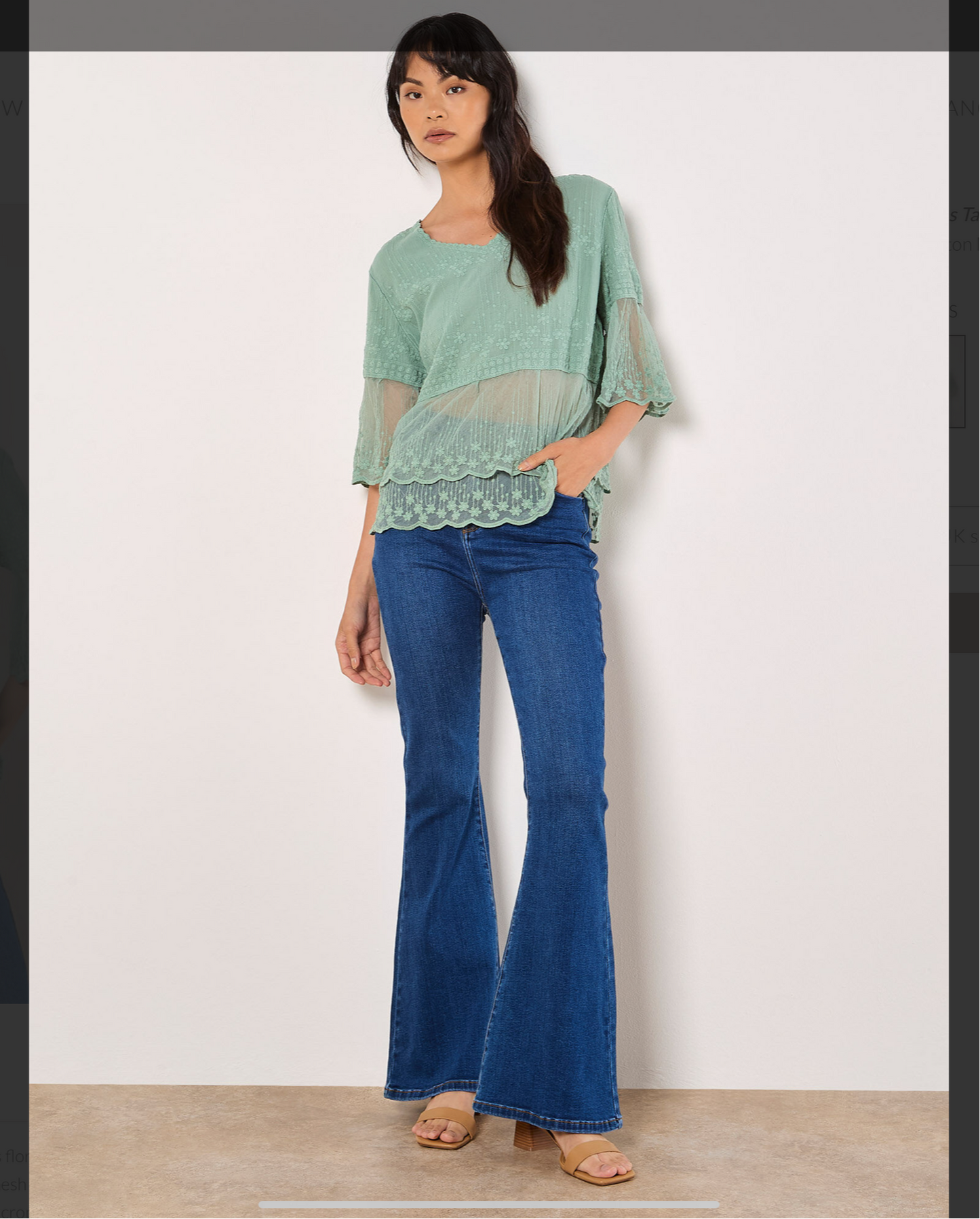 Apricot Embroidered Mesh Top